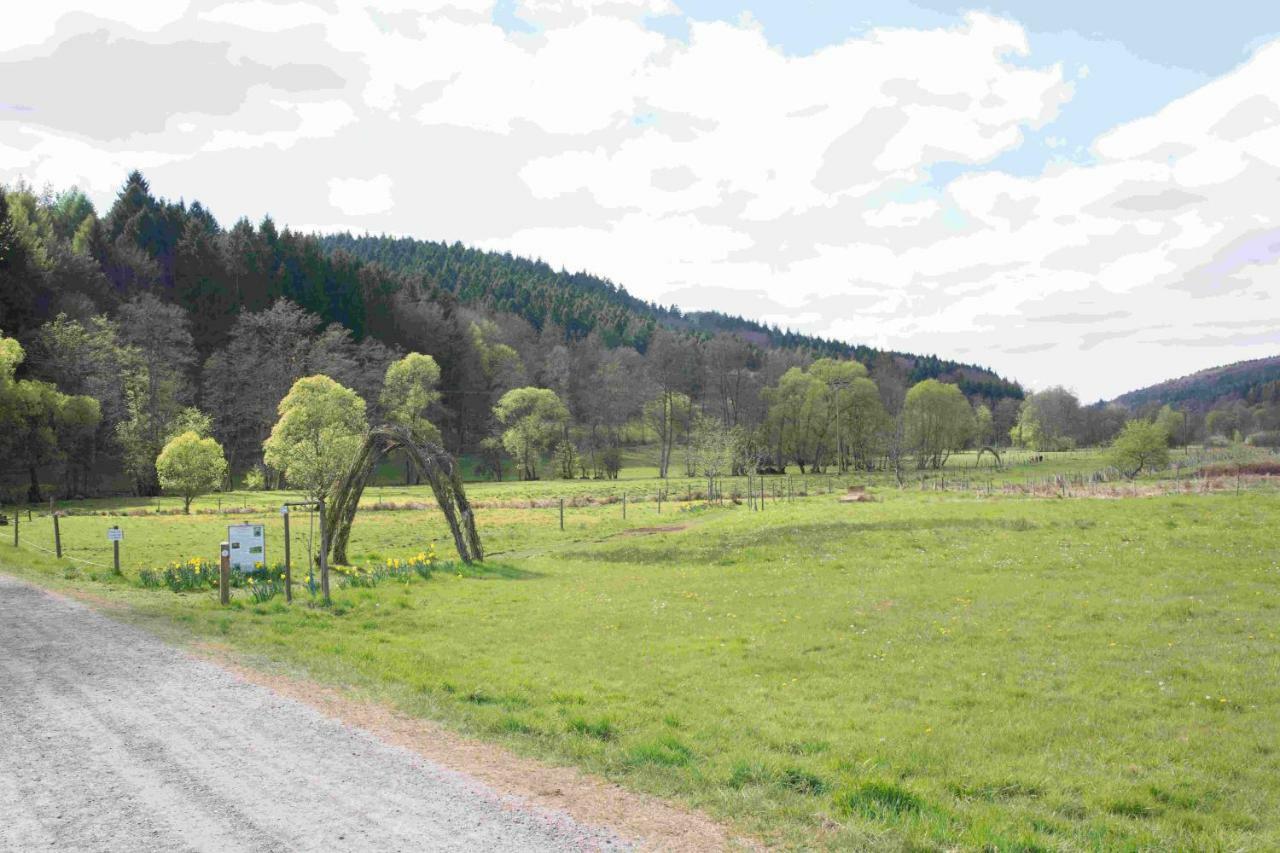 Ferienhaus Salmtal Himmerod Großlittgen Exterior foto